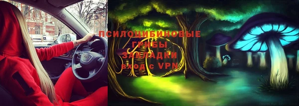 хмурый Нефтекумск