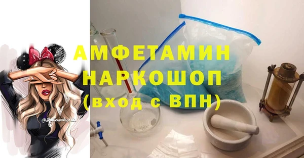 стафф Новозыбков