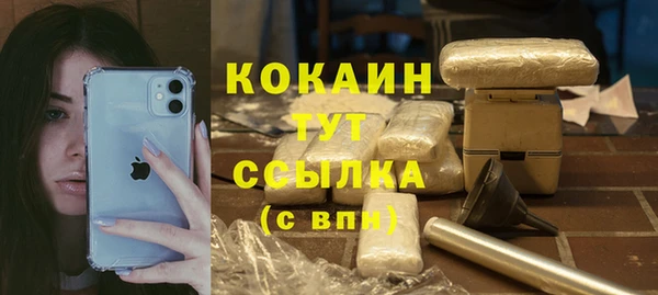 мдпв Няндома