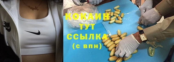 гидра Семёнов