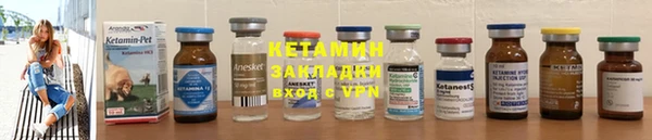 стафф Новозыбков