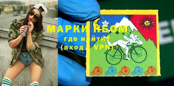 стафф Новозыбков