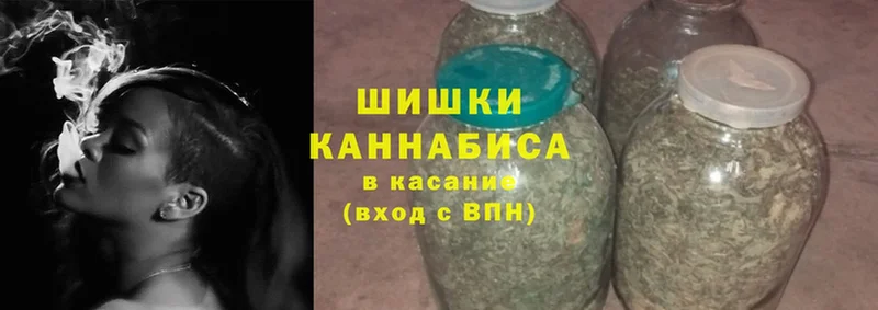 купить   Олонец  Каннабис SATIVA & INDICA 